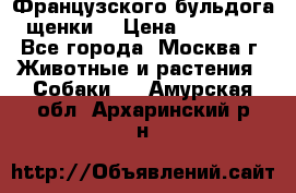 Французского бульдога щенки  › Цена ­ 35 000 - Все города, Москва г. Животные и растения » Собаки   . Амурская обл.,Архаринский р-н